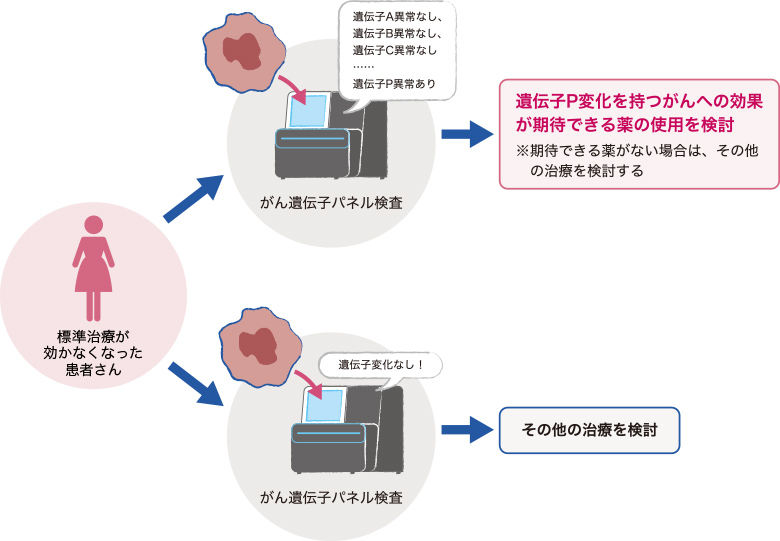  BRCA1 遺伝子と BRCA2 遺伝子