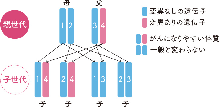 乳がんの高危険因子を持つ人に対するスクリーニングの推奨事項は何ですか?