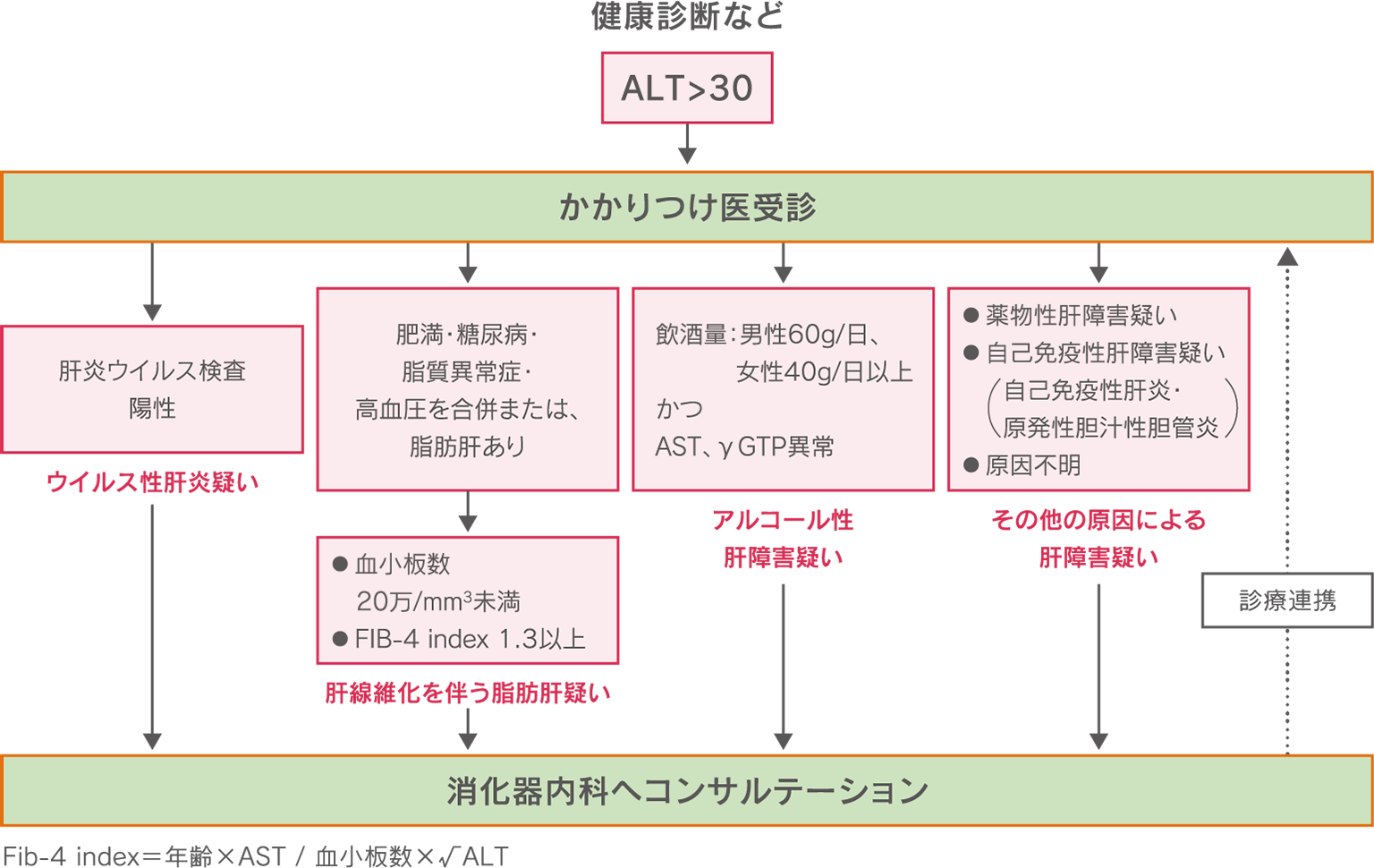 ALTが30を超える場合、かかりつけ医を受診し、ウイルス性肝炎や肝線維化を伴う脂肪肝、アルコール性肝障害、その他の原因による肝障害などが疑われる場合は消化器内科へコンサルテーションを行う