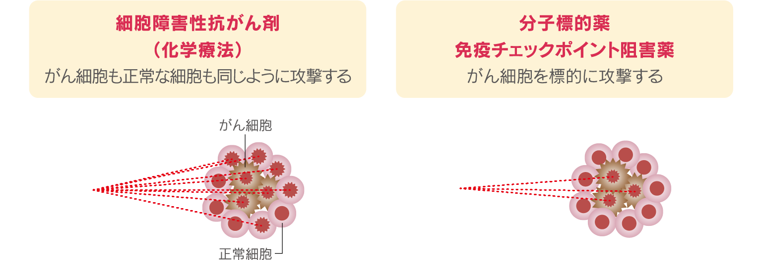 細胞障害性抗がん剤（化学療法）は、がん細胞も正常な細胞も同じように攻撃する治療法。分子標的薬、免疫チェックポイント阻害薬は、がん細胞を標的に攻撃する治療法。