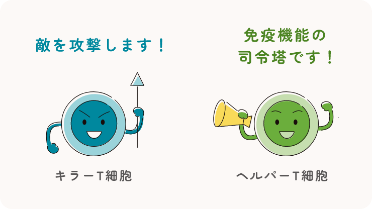敵を攻撃するキラーT細胞と、免疫機能の司令官となるヘルパーT細胞のイラスト