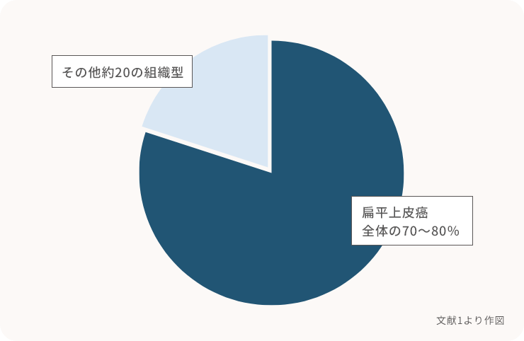 胸腺がんの組織型の割合を示す円グラフ。扁平上皮癌が全体の70～80 %で、残りはそれ以外の約20の組織型が分類される。